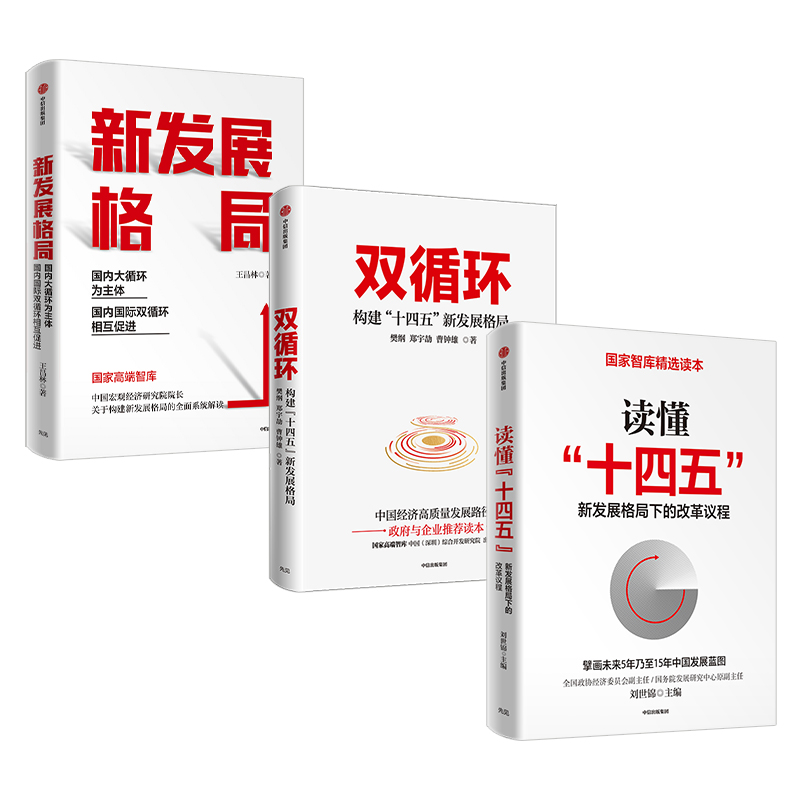 读懂十四五+双循环+新发展格局 套装3册 刘世锦 樊纲 王昌林 著 大循环 经济理论  中信 - 图1