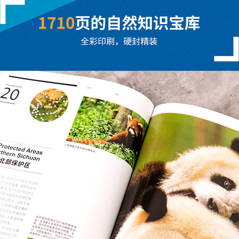 美丽的地球（套装7册）弗兰科安德昂等著 全面呈现6大洲自然景观 亚洲 欧洲 非洲 南美洲 北美洲 南极洲 大洋洲 中信正版,淘宝优惠券,粉丝福利购,淘宝优惠卷