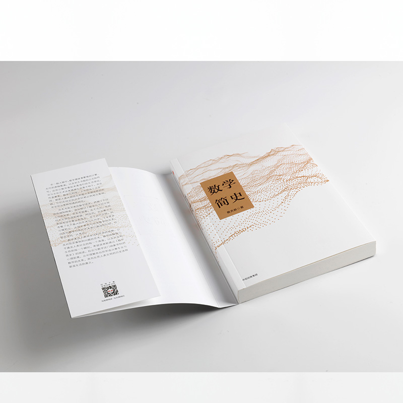 数学简史 蔡天新 著 生动讲述数学与人类文明的故事 中信出版社 正版书籍 - 图3