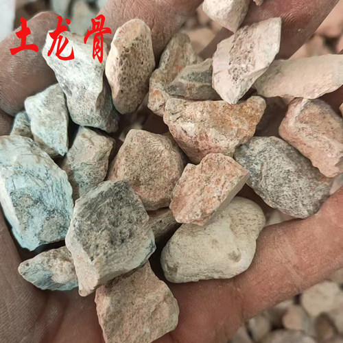 中药材矿石龙骨 生龙骨 白龙骨粉 土龙骨500g包邮另有牡蛎 煅龙骨 - 图0