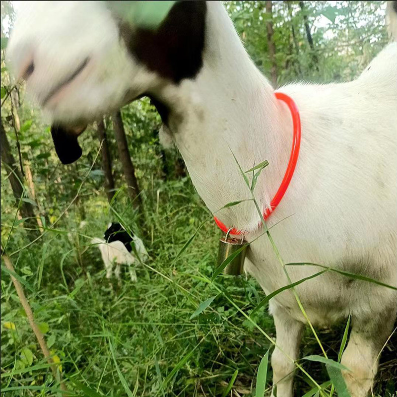 羊铃铛羊项圈铃铛套装羊脖套羊脖子项圈羊用铃铛响声大羊脖套养羊,淘宝优惠券,粉丝福利购,淘宝优惠卷