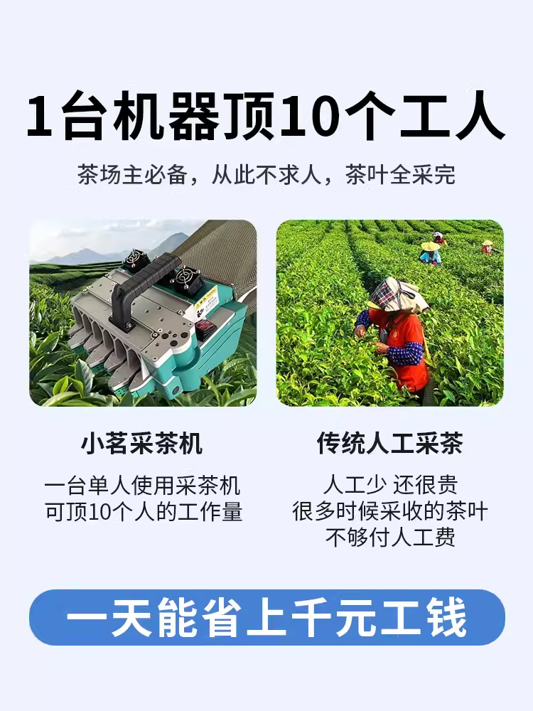 2024新款小茗自动采茶机电动采摘便携采茶机茶叶鲜叶分级机一体机-图2