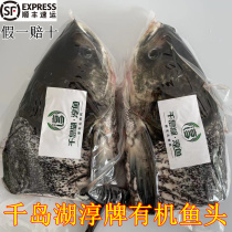 Official certification Qiandao Lake Atsushi Organic Fish Head Raw Ecological Fat Head Fish Fresh Freshwater Silver Carp Live Fish Now Kill
