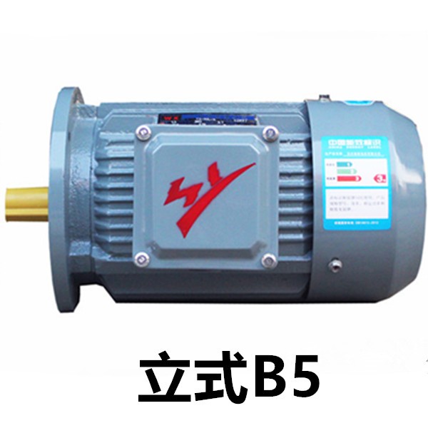 200KW2级电机YE3-315L2-2极三相异步电动机二级千瓦铜线马达YXYE2 - 图3