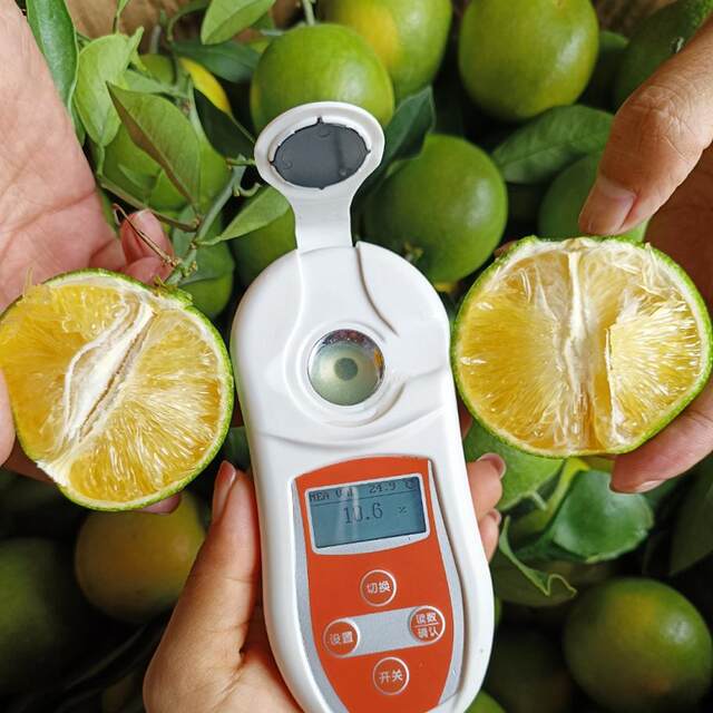 Authentic Yunnan Bingtang Orange Ailao Mountain 5 Jin Jin is equal to 0.5 kg, freshly picked and farm-grown, juicy, tender and sweet deep in the mountains