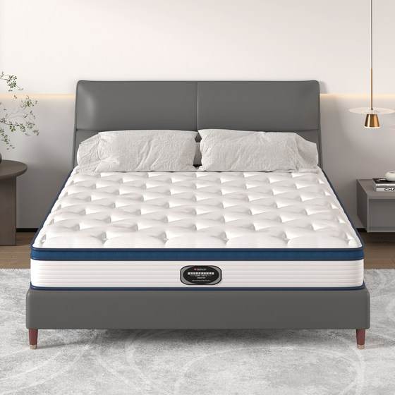 Haima Thailand imported coconut palm independent latex mattress