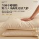 Xinjiang cotton pillow