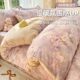 Printed quilt cover four-piece set