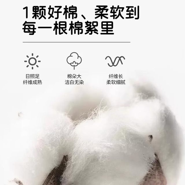 100% long lint cotton bed sheet