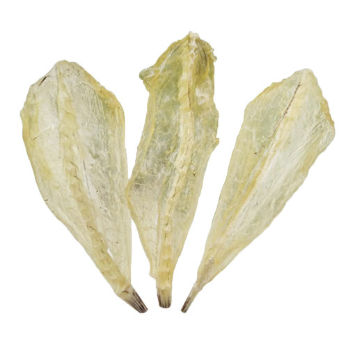 北海全淡干剥皮鱼鱼柳沙丁鱼干沙甲鱼沙尖鱼特产海鲜干货烧烤油煎 - 图3