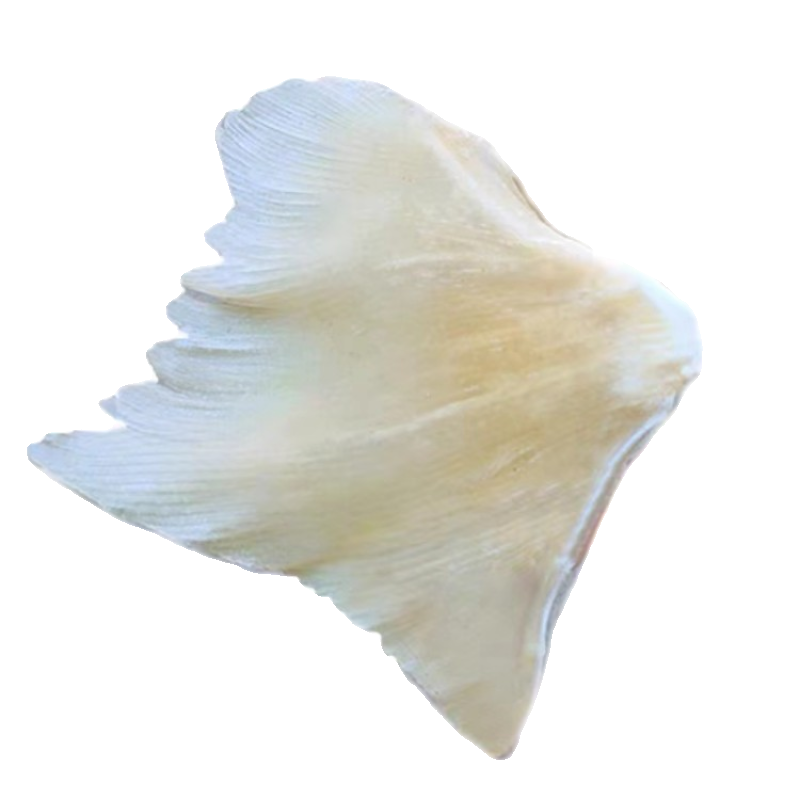 大号鳐鱼边翅天星翅浦鱼海狗翅海产干货特产无添加海鲜煲汤烤500g,淘宝优惠券,粉丝福利购,淘宝优惠卷