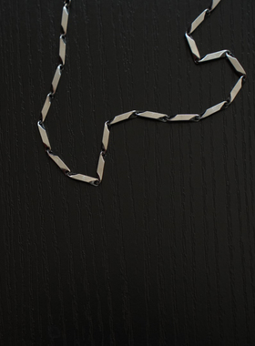 CssuGent 时尚小众百搭设计感钛钢项链