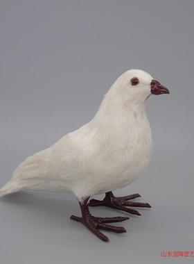仿真摆件橱窗道具动物模型和平鸽