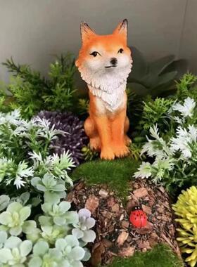 九尾狐狸多肉花盆景装饰摆件户外微景观猴尾柱造景白色小狐狸尾巴