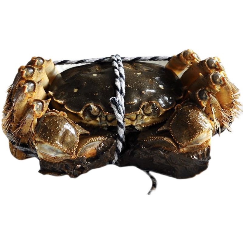 大闸蟹鲜活螃蟹全公母蟹缺腿蟹断腿蟹残次蟹残蟹特大,淘宝优惠券,粉丝福利购,淘宝优惠卷