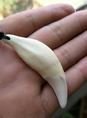 儿童手链情侣狼牙吊坠