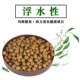 ອາຫານປາປະດັບຂະຫນາດໃຫຍ່ພິເສດອາຫານຫຍ້າ carp feed floating feed koi goldfish feed large carp large particles 8 mm