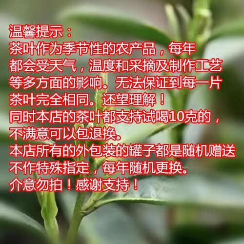 2026新茶绿茶汀溪大南坑村农家泾县兰香汀溪兰香100g明前头采 - 图3