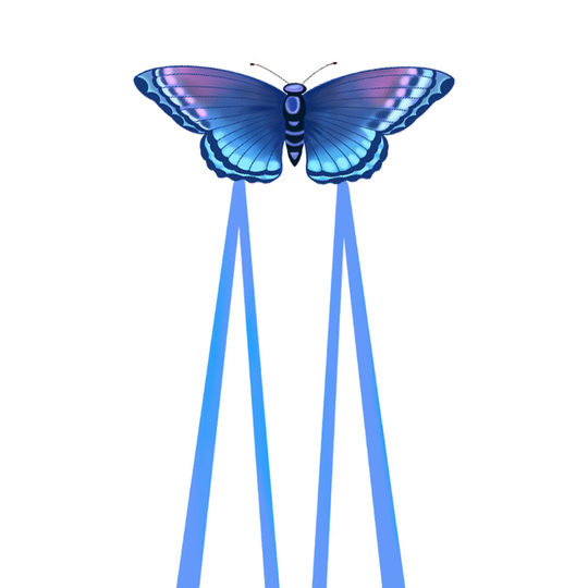 同飞翔长飘带情侣蝴蝶风筝微风易飞高档儿童大人专用2025年新款