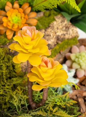仿真多肉植物仙人掌人造假花装饰