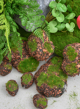 庭院假山石青苔植物造景装饰摆件