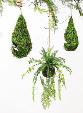 植物墙鸟窝橱窗布置道具摆件