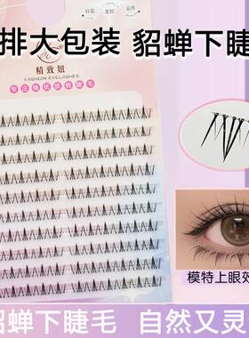 貂蝉拜月下睫毛自然仿真