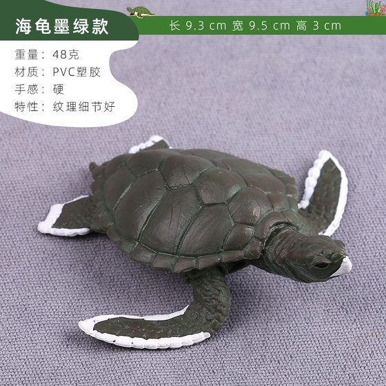 Simulation turtle model toy tortoise birth props early education