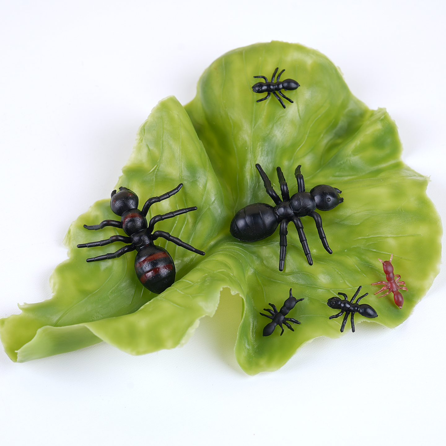 仿真大小蚂蚁模型塑胶迷你动物场景玩具昆虫多足大头蚂蚁影视道具 - 图3