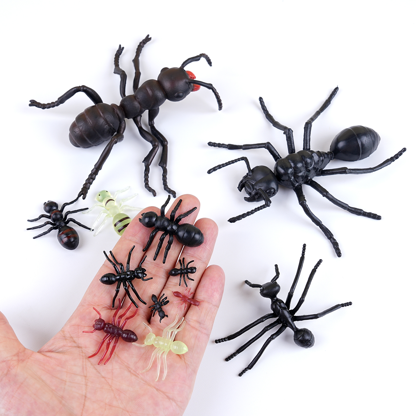 仿真大小蚂蚁模型塑胶迷你动物场景玩具昆虫多足大头蚂蚁影视道具 - 图0