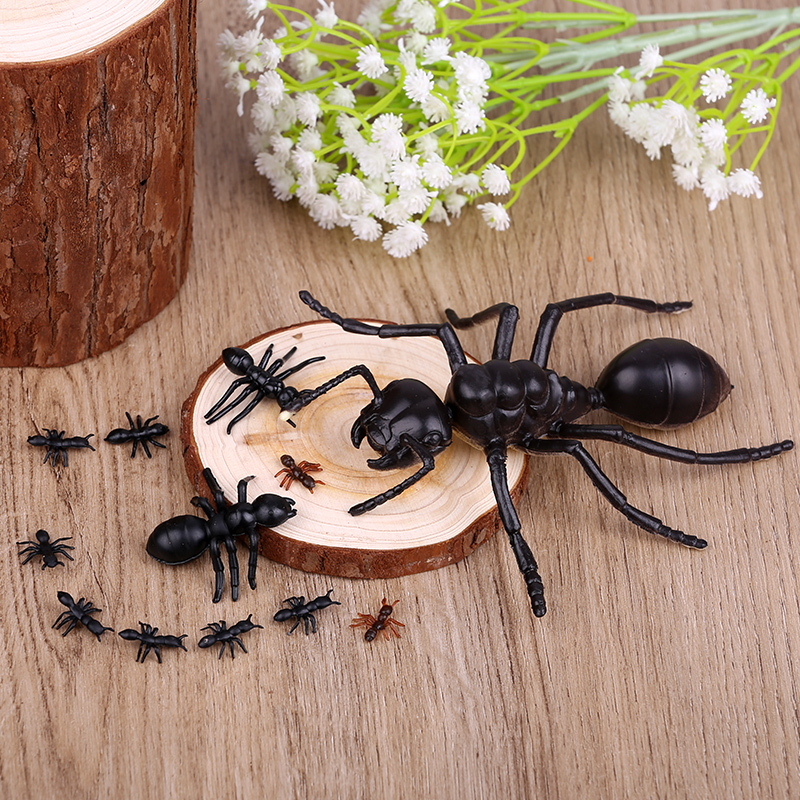 仿真大小蚂蚁模型塑胶迷你动物场景玩具昆虫多足大头蚂蚁影视道具 - 图2