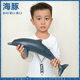 Soft rubber filled environmentally friendly and safe simulated marine animals