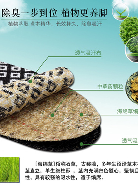 足净除臭鞋垫中药舒适透气吸汗