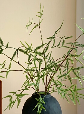 高级感仿真绿植芒萁竹子假花