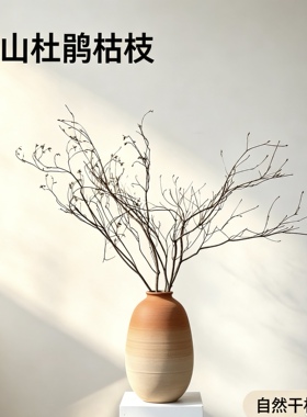 高山杜鹃干枝天然植物飘枝真枝条摄影插花材料家居装饰造型摆件