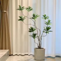 Simulation green plant lily bamboo high-end light extravagant Nordic indoor living room bionic false plant floor potted decoration pendulum