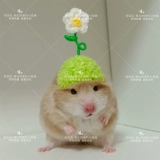 [Дом Торт Вейхуа] Цветочная шляпа, Золотой шелковый медвежь