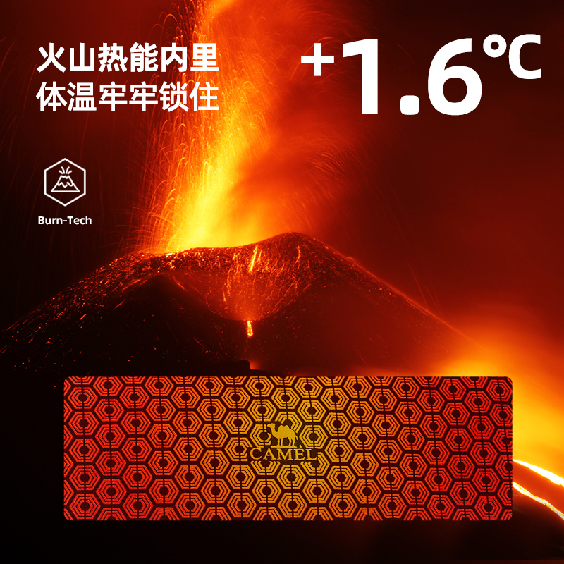  骆驼男装羽绒服