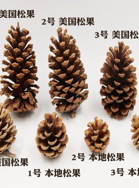 创意手工diy树枝干果松塔松花