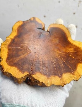 老红木段枯木摆件底座枯木树根雕