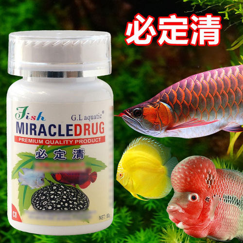 新必定清驱虫观赏鱼内寄外寄生虫净水魟鱼龙鱼体温和头洞七彩水族 - 图0