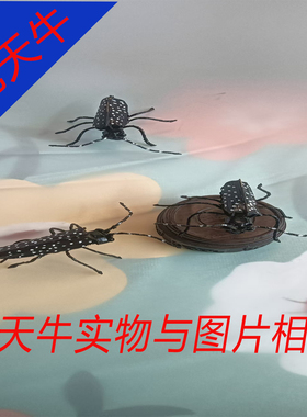 草编动物蚊子棕编藤编小昆虫