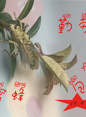 棕编草编工艺品蜜蜂手工生肖制作