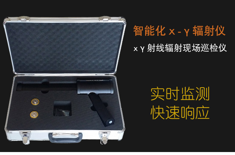 RP6000型X-Y核辐射剂量率仪伽马射线检测仪放射性环保报警监测器-图0