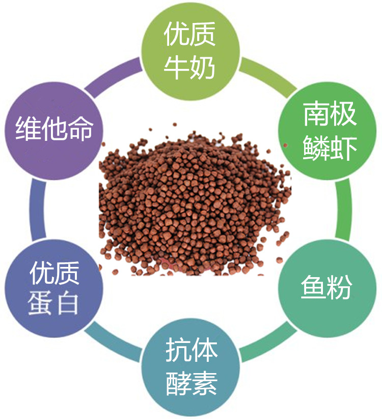 正品拉玛红鹦鹉鱼鱼粮饲料血鹦鹉发财鱼招财增红增色饲料鱼食包邮-图0