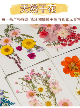 干花压花相框亚克力透明塑封膜手工diy材料植物树叶标本玻璃画框