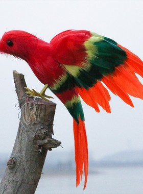 仿真展翅小鸟摆件真羽毛模型