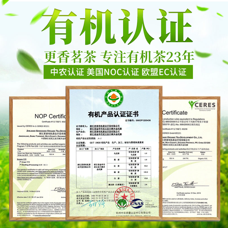 更香有机绿茶2022新茶特级明前茶叶高山云雾100g*2桶茶灸