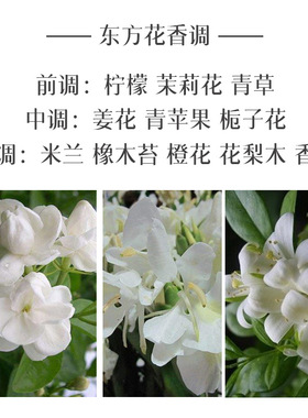 山中四月姜花香水自然香氛