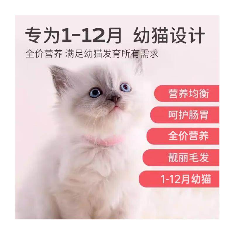 美人喵小安心猫粮幼猫1到3月奶糕专用离乳期4到12月全价小猫奶猫,淘宝优惠券,粉丝福利购,淘宝优惠卷